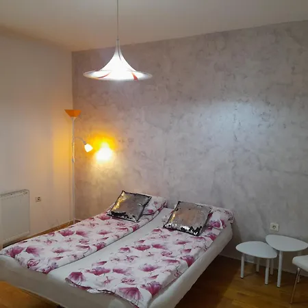 Ars Vip Apartment Novi Sad Room photo