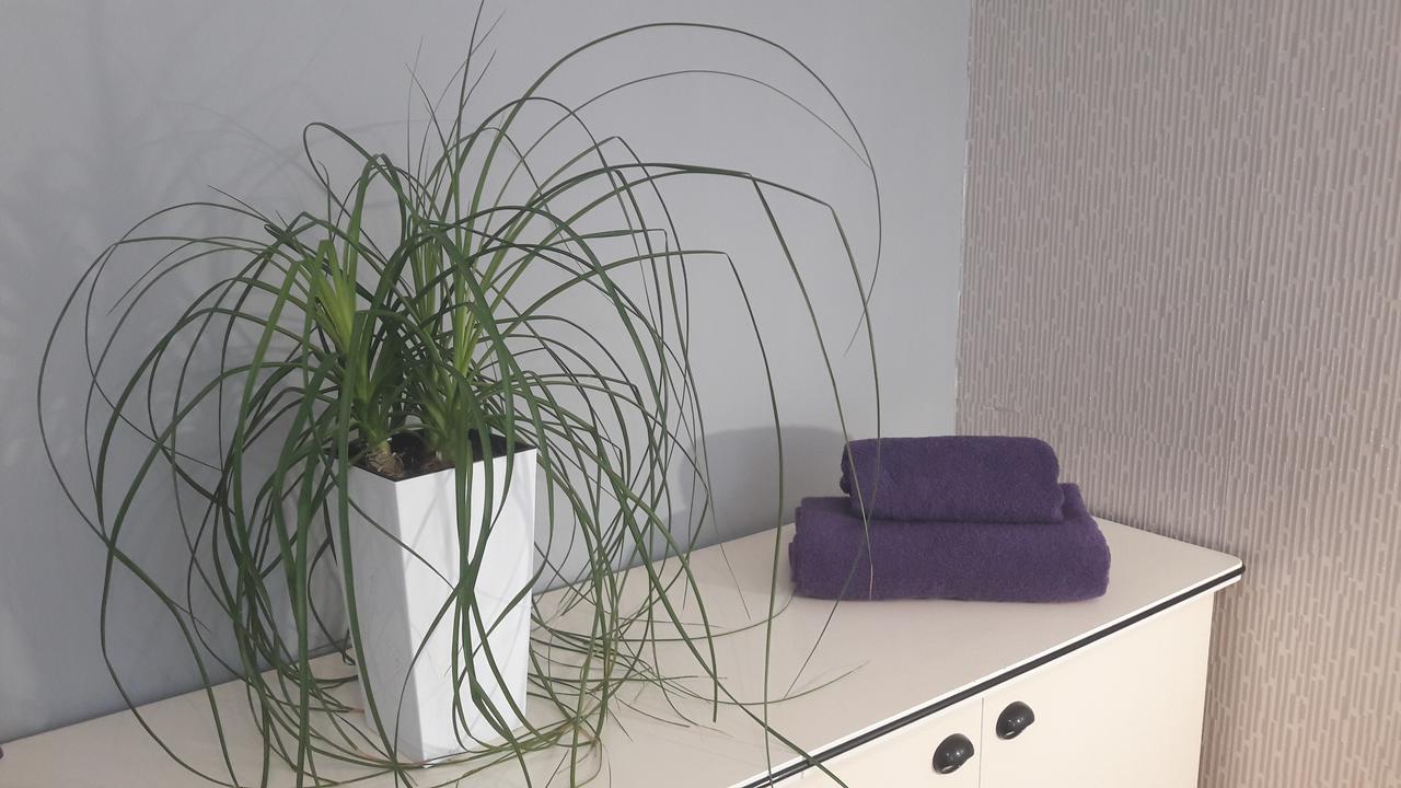 Ars Vip Apartment