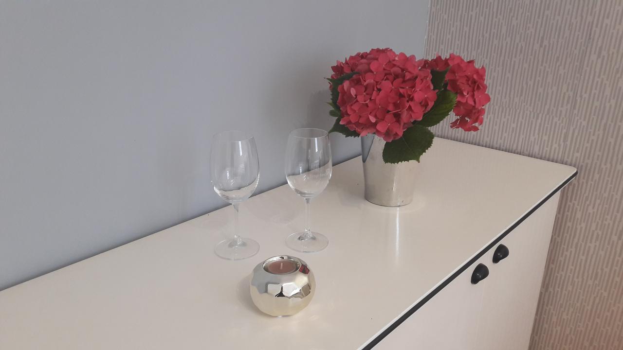 Apartment Ars Vip Novi Sad