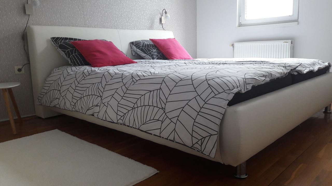 Ars Vip Novi Sad